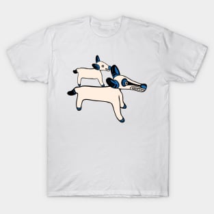 Opossum of Tlatelolco T-Shirt